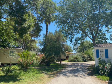 Camping de l'Arnel - Camping Hérault - Image N°23