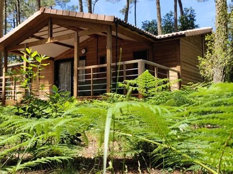 Le Green Resort - Camping Landes - Image N°28