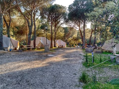 Kampaoh Cordoba - Camping Cordoue - Image N°3