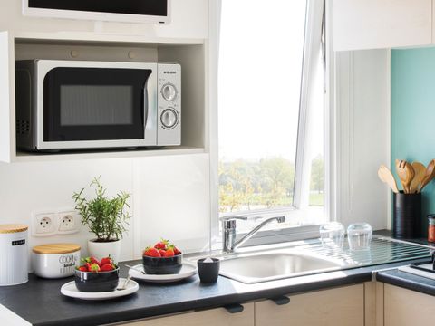 MOBILHOME 4 personnes - IDAHO STANDARD