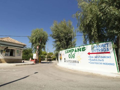 Kampaoh Oliva - Camping Valence - Image N°16