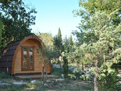 Hébergement 2 personnes - Le POD : la cabane 100 % nature / avec petit déjeuner / 2 pers inclus / Spa privatif en option