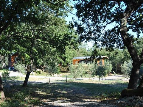 LODGE 5 personnes - Roulotte ( Séjour Deluxe ) climatisée / avec petit déjeuner / 2 pers inclus / Spa privatif en option