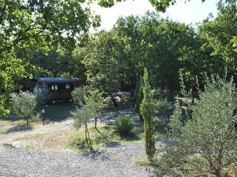 LODGE 4 personnes - Roulotte (Séjour Famille) climatisée / sans petit déjeuner / 5 pers inclus / Spa privatif en option