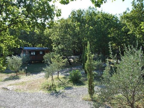 HÉBERGEMENT INSOLITE 2 personnes - Cabane Forestière climatisée ( avec petit déjeuner et Spa privatif accès illimité ) / 2 pers inclus