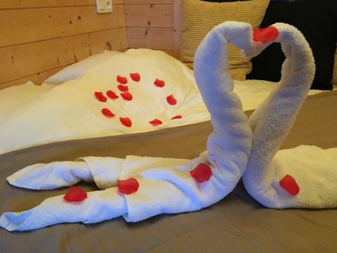 Hébergement 2 personnes - Suite Nid d'Amour et Spa ( le raffinement ultime à la cime des arbres spécial couple ) / 2 pers inclus