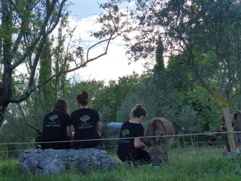 Domaine Saint Cerice - Camping Ardèche - Image N°25