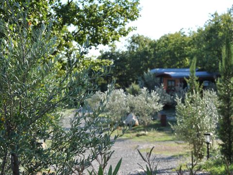 Domaine Saint Cerice - Camping Ardèche - Image N°45