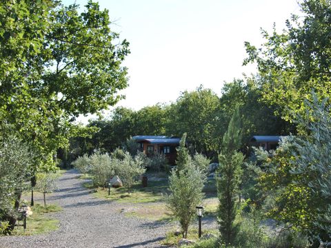 Domaine Saint Cerice - Camping Ardèche - Image N°42