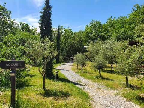 Domaine Saint Cerice - Camping Ardèche - Image N°41