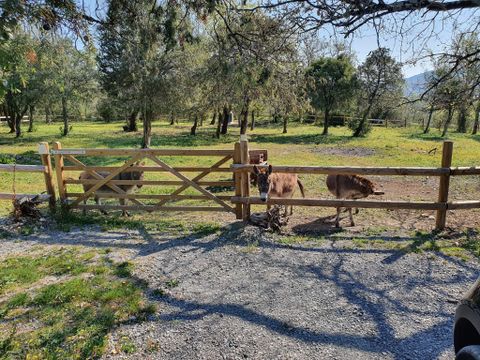 Domaine Saint Cerice - Camping Ardèche - Image N°93