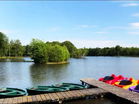 Camping Domaine de Sainte Montaine - Camping Cher - Image N°3