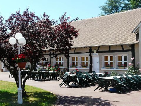 Camping Domaine de Sainte Montaine - Camping Cher - Image N°7