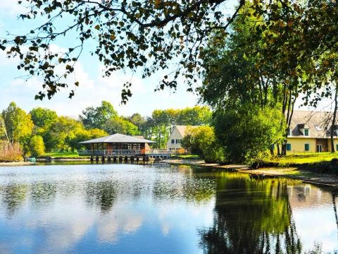 Camping Domaine de Sainte Montaine - Camping Cher - Image N°2