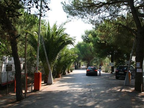Camping Lido Tellina - Camping Foggia - Image N°7