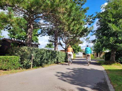 Camping La Foret Stella Plage - Camping Pas-de-Calais - Image N°20