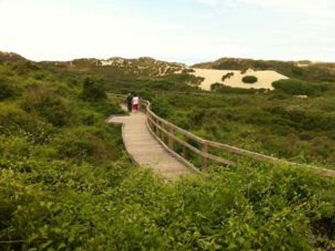 Camping La Foret Stella Plage - Camping Pas-de-Calais - Image N°25