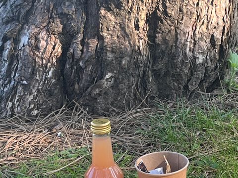 MOBILHOME 5 personnes - Cottage Opale Océan 2 Chambres 2 Salles de bain 34m2 Terrasse semi-couverte