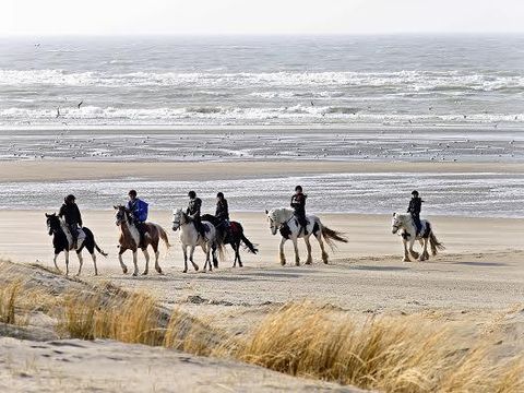 Camping La Foret Stella Plage - Camping Pas-de-Calais - Image N°26