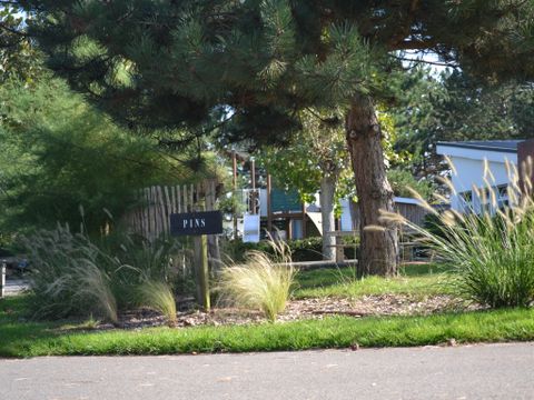 Camping La Foret Stella Plage - Camping Pas-de-Calais - Image N°20