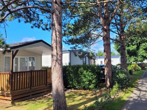 Camping La Foret Stella Plage - Camping Pas-de-Calais - Image N°5