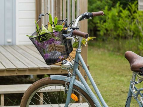 Camping La Foret Stella Plage - Camping Pas-de-Calais - Image N°34