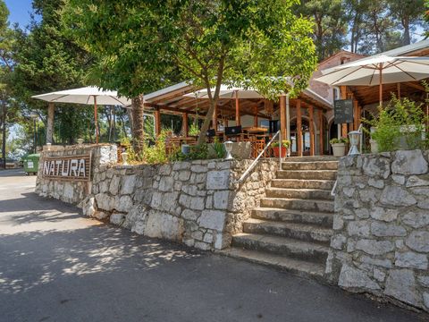 Camping Porton Biondi - Camping Istrie - Image N°8