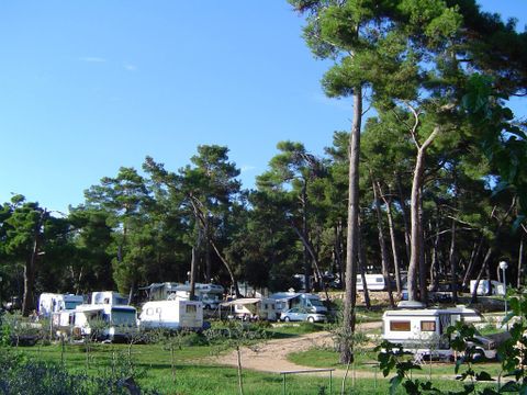 Camping Porton Biondi - Camping Istrie - Image N°10