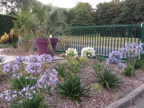 Flower Camping des Vallées - Camping Côtes-d'Armor - Image N°26