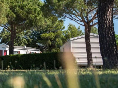 Tours Opérateurs et particuluers sur camping Le Lac des Rêves Funpass offert - Camping Hérault - Image N°8