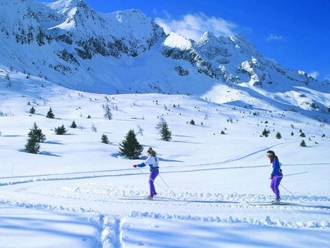 Camping Cevedale - Camping Trente - Image N°2
