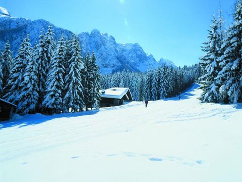 Camping Cevedale - Camping Trente - Image N°3