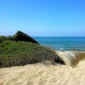Camping Internazionale Castelfusano