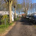 Camping Abijune