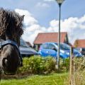 Oosterscheldepark de Stelhoeve