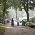 Camping Zavelbos
