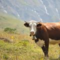VVF Résidence Albiez-Montrond Maurienne