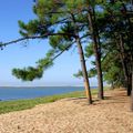 Camping Sandaya Les Mathes