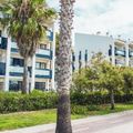 Apartamentos Pins Platja
