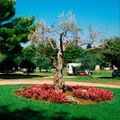 Camping Koversada Park Camping Resort