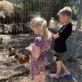 Europe Tents Camping Begur