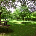 Bologna Easy Camping Village