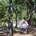 Camping Ladouceur - Ramatuelle Saint Tropez