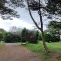 VVF Camping Les Dunes Créances