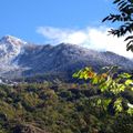 Bedura Park, camping temático de la naturaleza y bungalows
