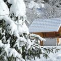 Chalet Odalys Le Pleynet
