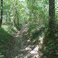 Camping Les Fées du Moulin