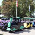 Recreatiepark Duinhoeve