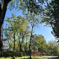 Vodatent Camping Les Rives de Courtes