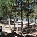 Camping Las Cabanas